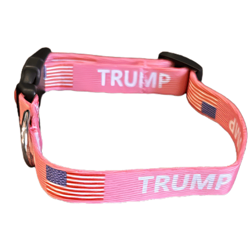 Pink Trump Dog Collar designed for small dogs, featuring the name 'Trump' prominently displayed, perfect for pet lovers.