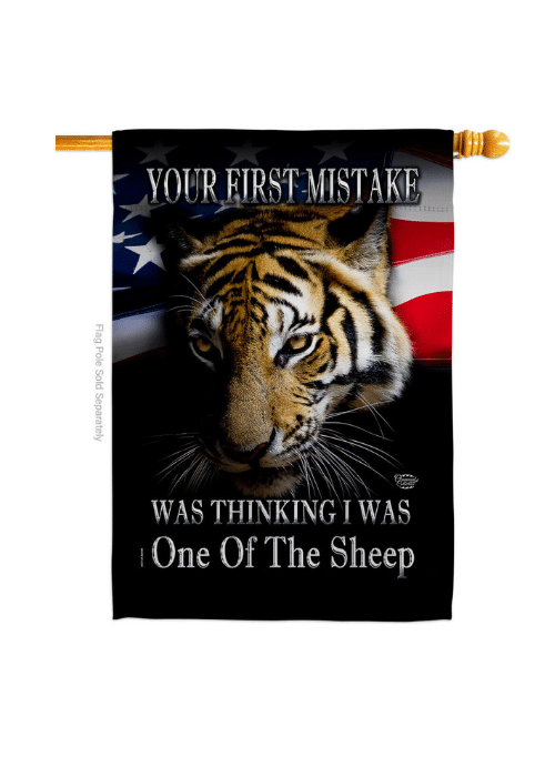 Your First Mistake double-sided house flag displaying bold graphics in an outdoor setting on a flag pole.