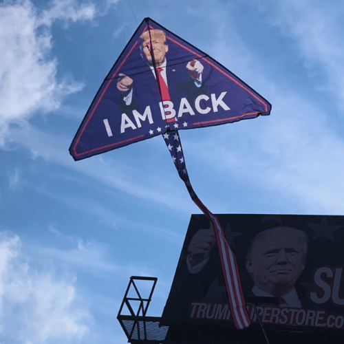 I Am Back Patriotic Trump Kite featuring a colorful design of Trump's face and the slogan soaring high against a blue sky with a long patriotic tail.