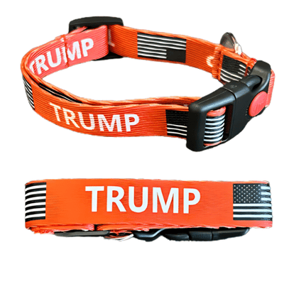 Red Trump Dog Collar for small dogs with bold 'Trump' lettering, displayed on a small dog enjoying time outdoors.