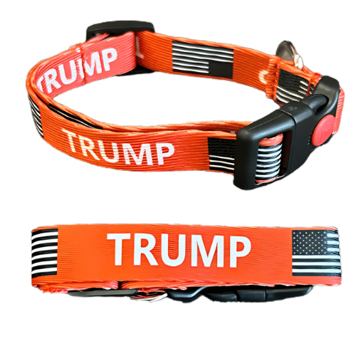 Red Trump Dog Collar for small dogs with bold 'Trump' lettering, displayed on a small dog enjoying time outdoors.