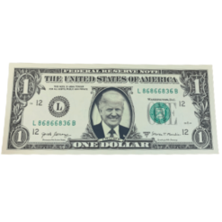 Real fake money trump on the dollar bill