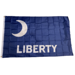 The Fort Moultrie flag 3x5 flag