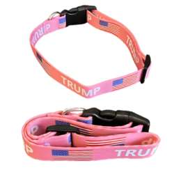 Trump dog collar for small breeds