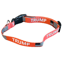 Trump dog collar red for smaller breeds
