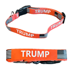 Trump dog collar for smaller breeds. color is red.